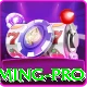 cervopg - Gaming Pro