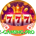 wxwx - Gaming Pro